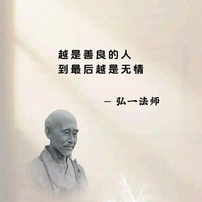 善良后的无情《真高福》