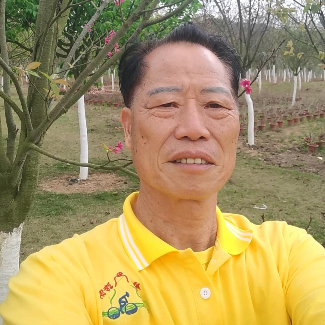 财风同行
