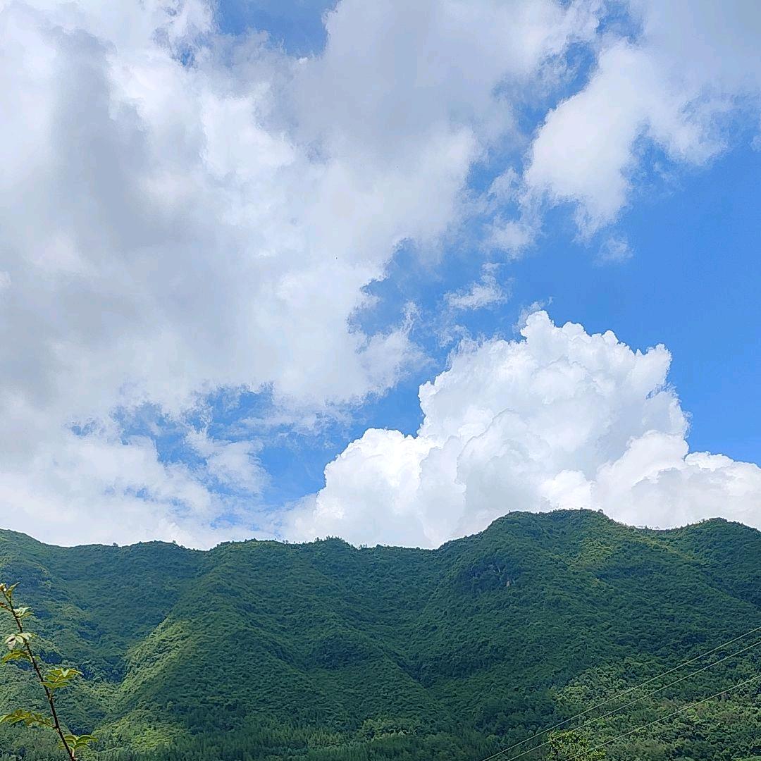 你我皆是局中人