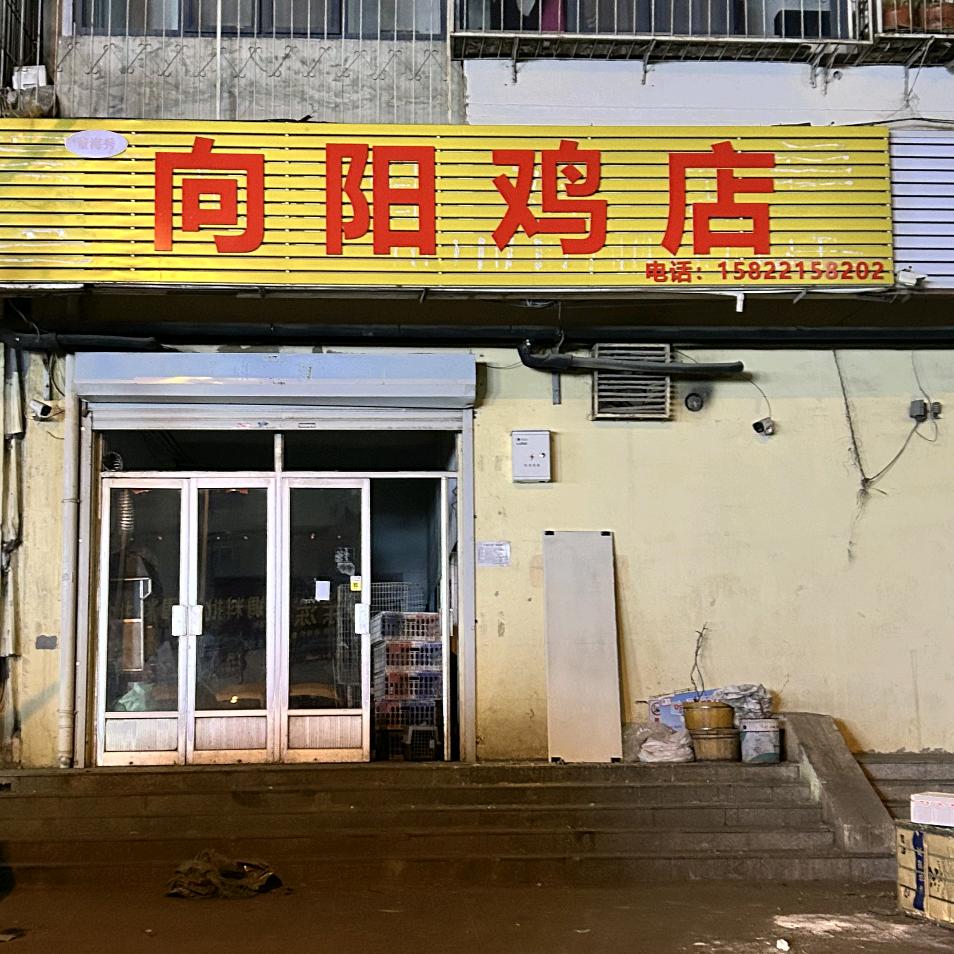向阳活鸡店