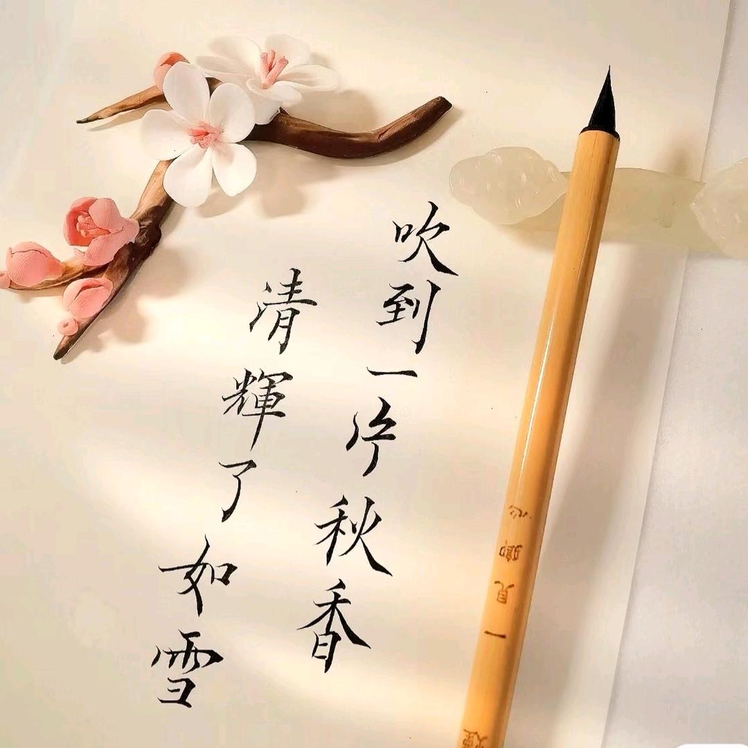 清漪手写