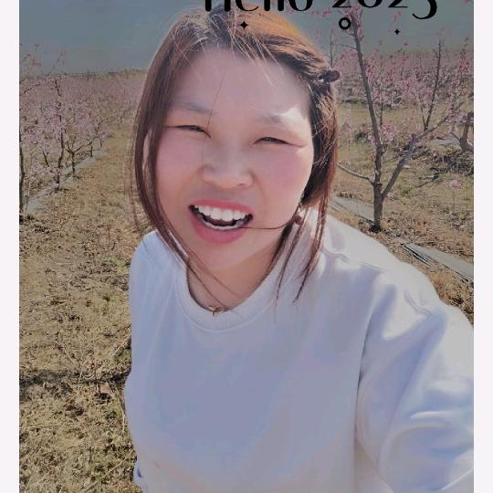 静心
