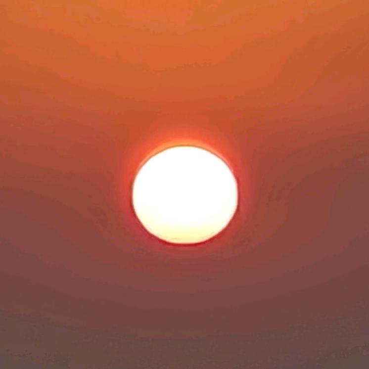 冬 日 暖 阳