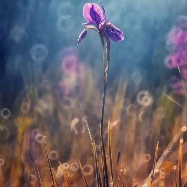 渐行渐远渐陌生