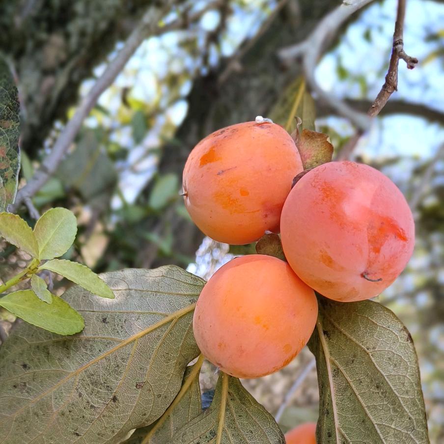 ╰☆漠 ™ 然 ☆◥