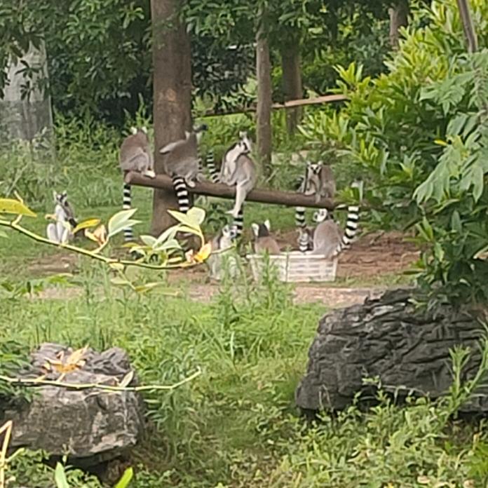 🚬᭄ℯ⃝謀財ღ᭄ꦿ꯭渡凡尘