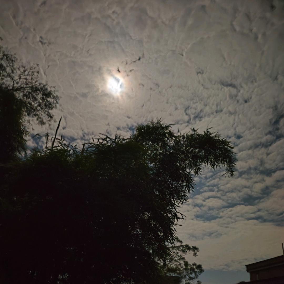 抖音是时候讲再见了