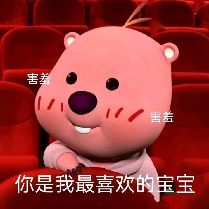 🌼扁扁.₍ᐢ..ᐢ₎