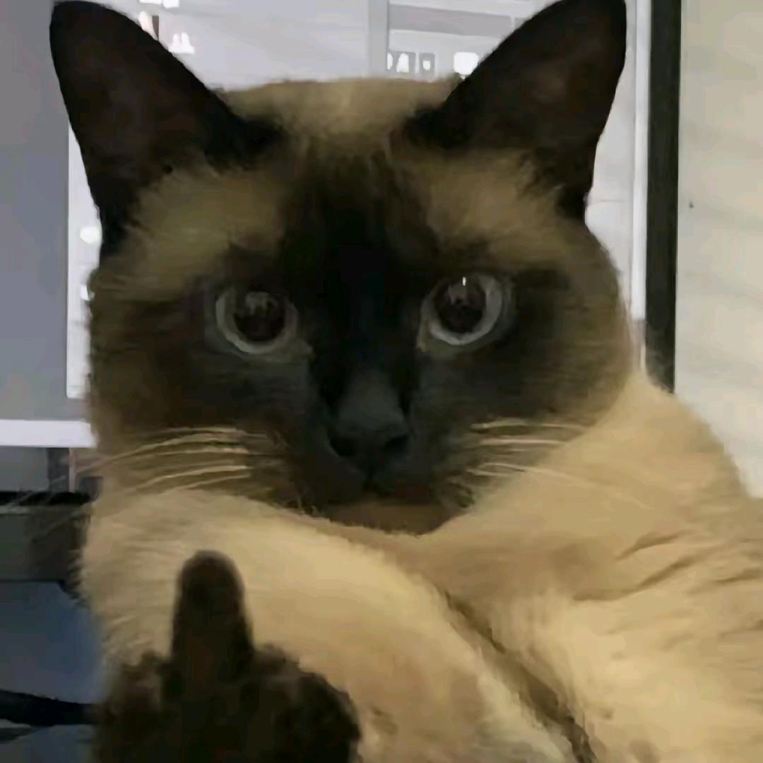 -/你是谁？……