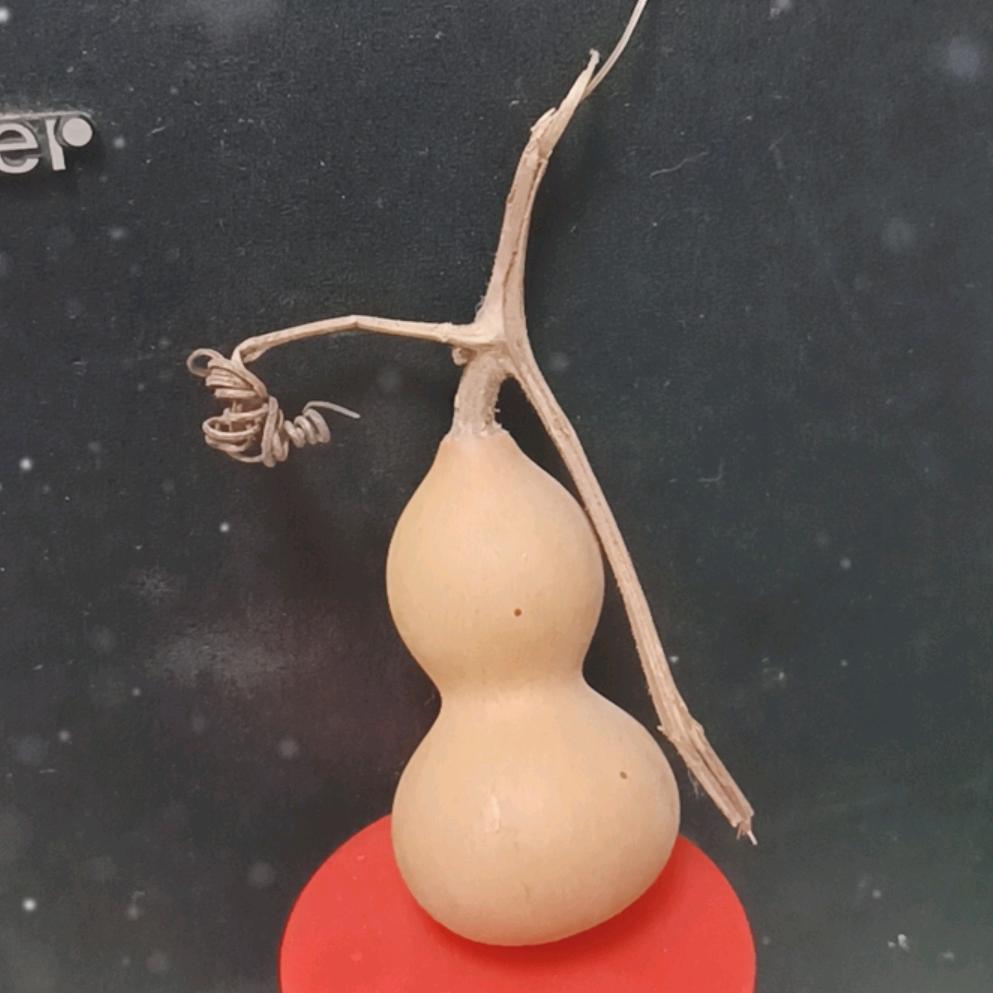 (❁´醉◡`笑❁)清风*✲ﾟ*