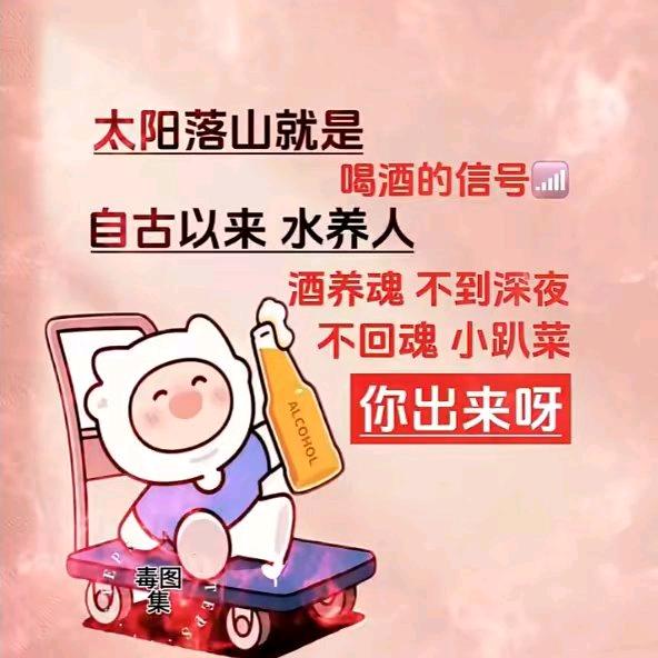 迷乄茫