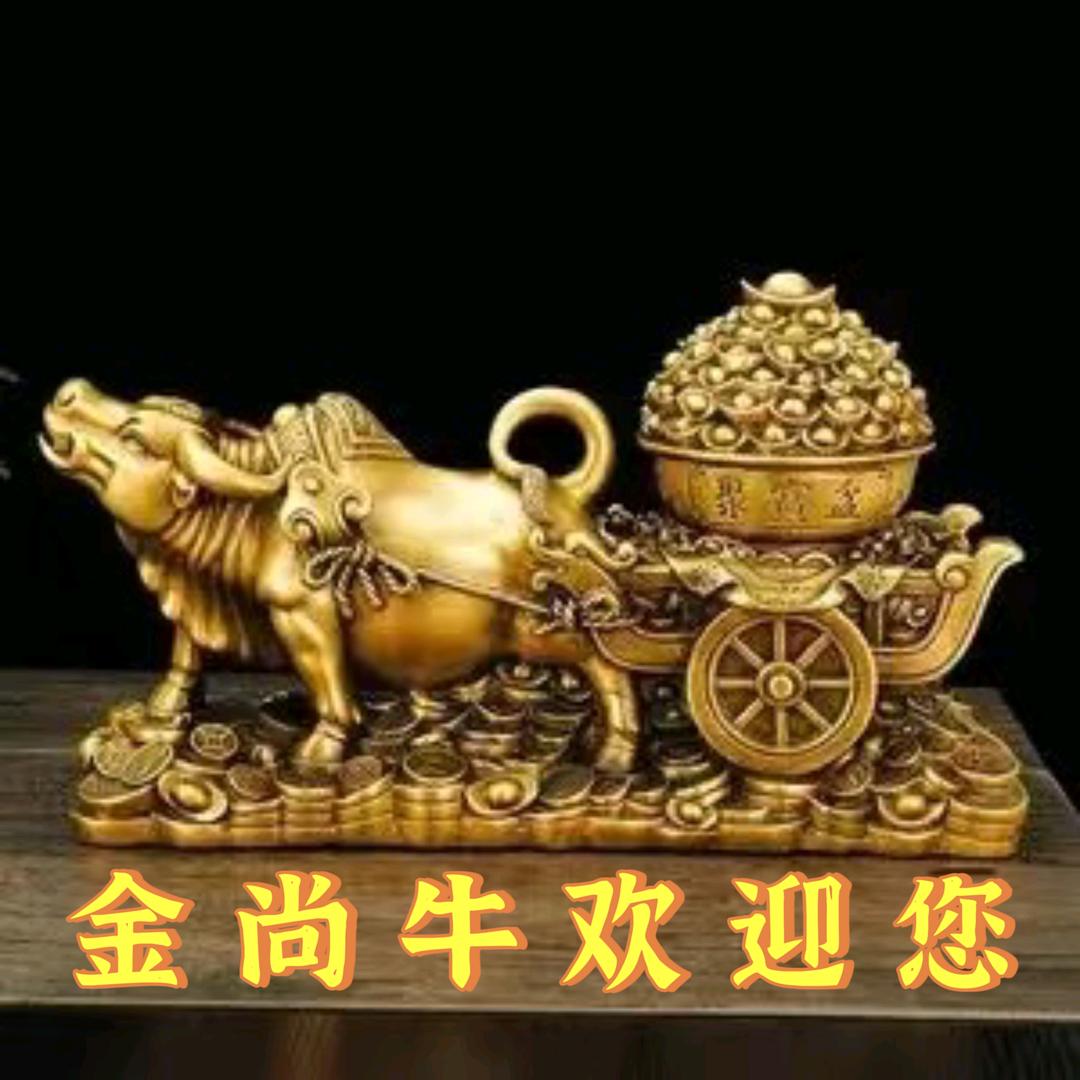 金尚牛食品经营店