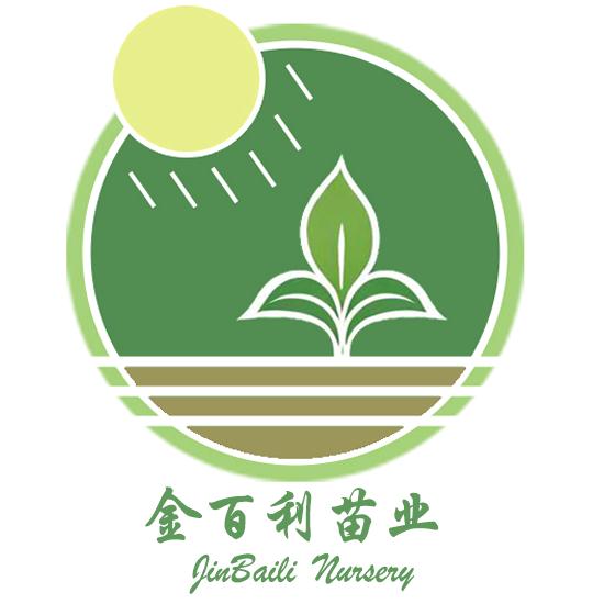 金百利蔬菜苗基地