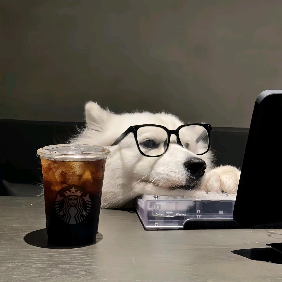 小黄（三角洲行动）