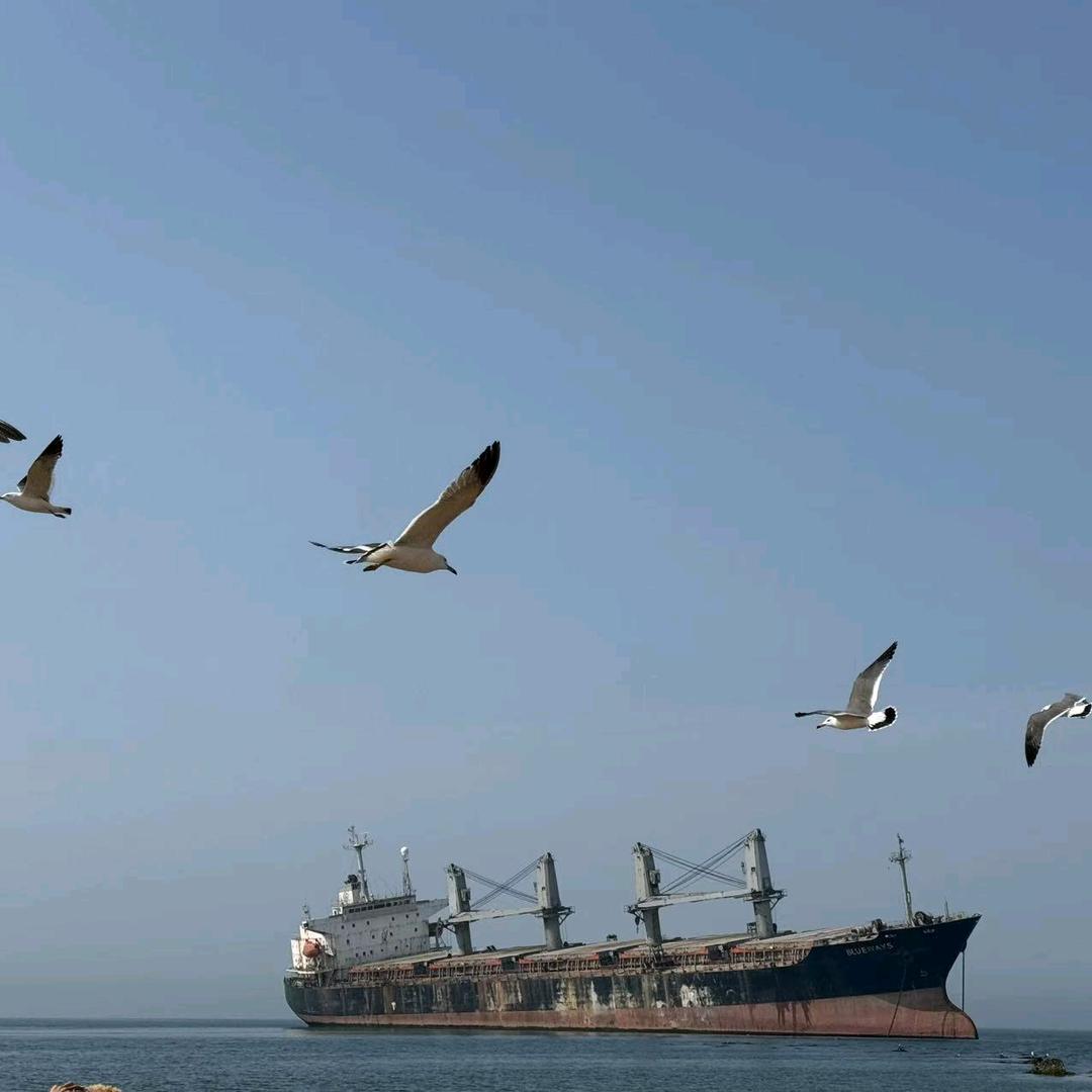 不………………