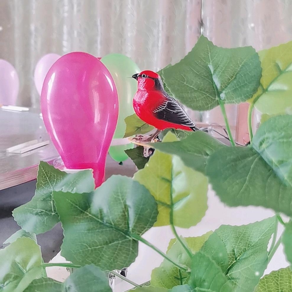 鸟儿啄啄