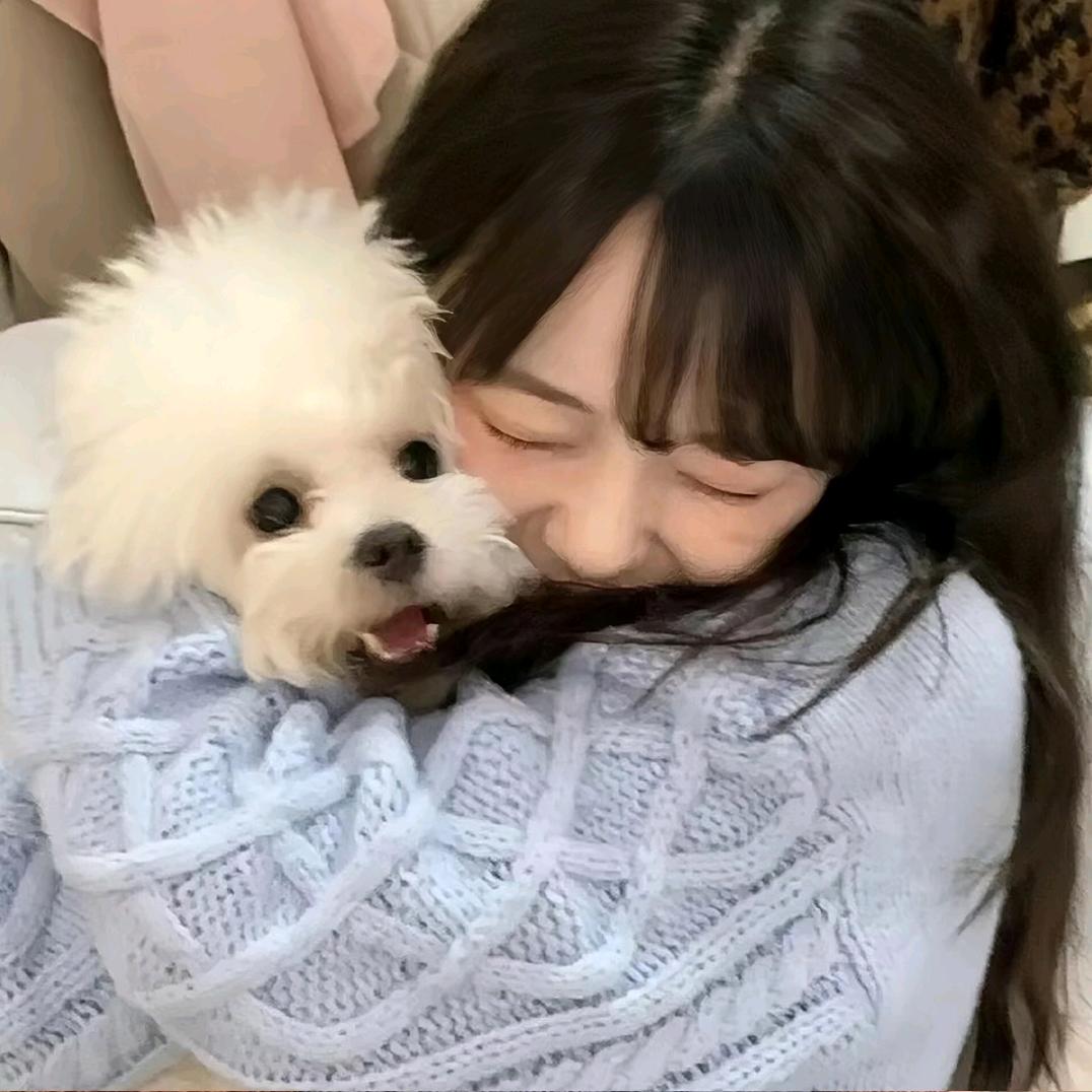 小羊不吃香菜