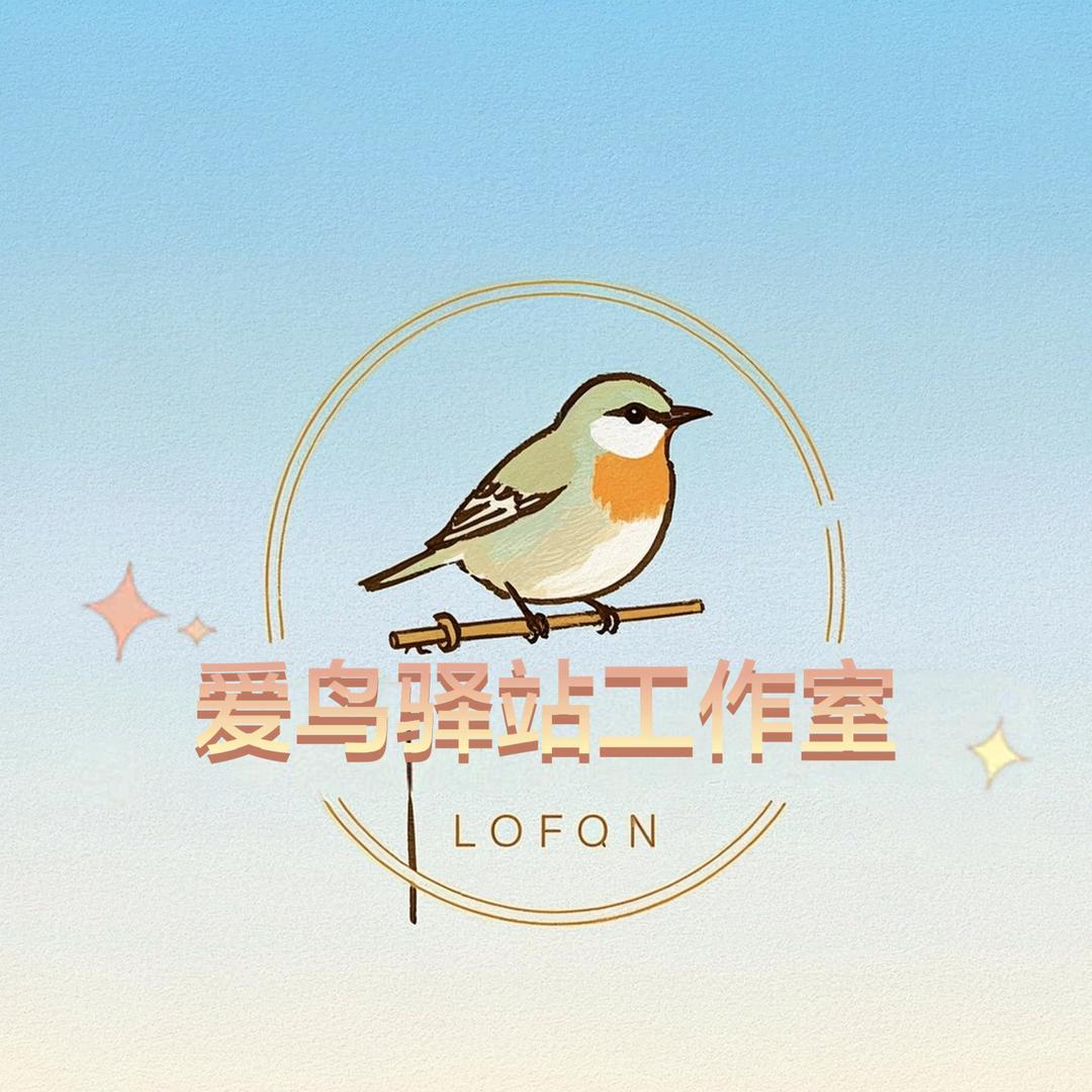 爱鸟驿站工作室
