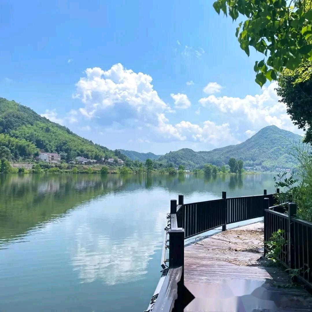 派克鲜