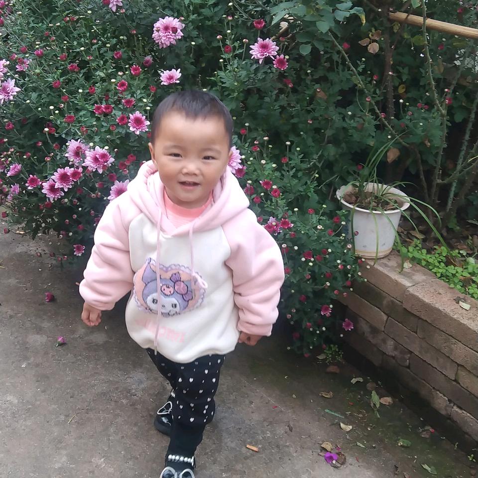 事事如意