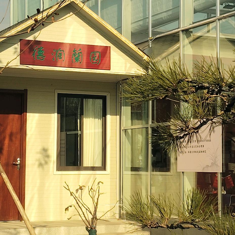 德润兰园          龙行龘龘