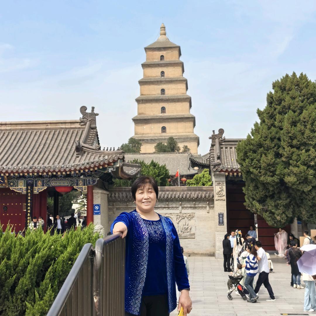 阳光润莲