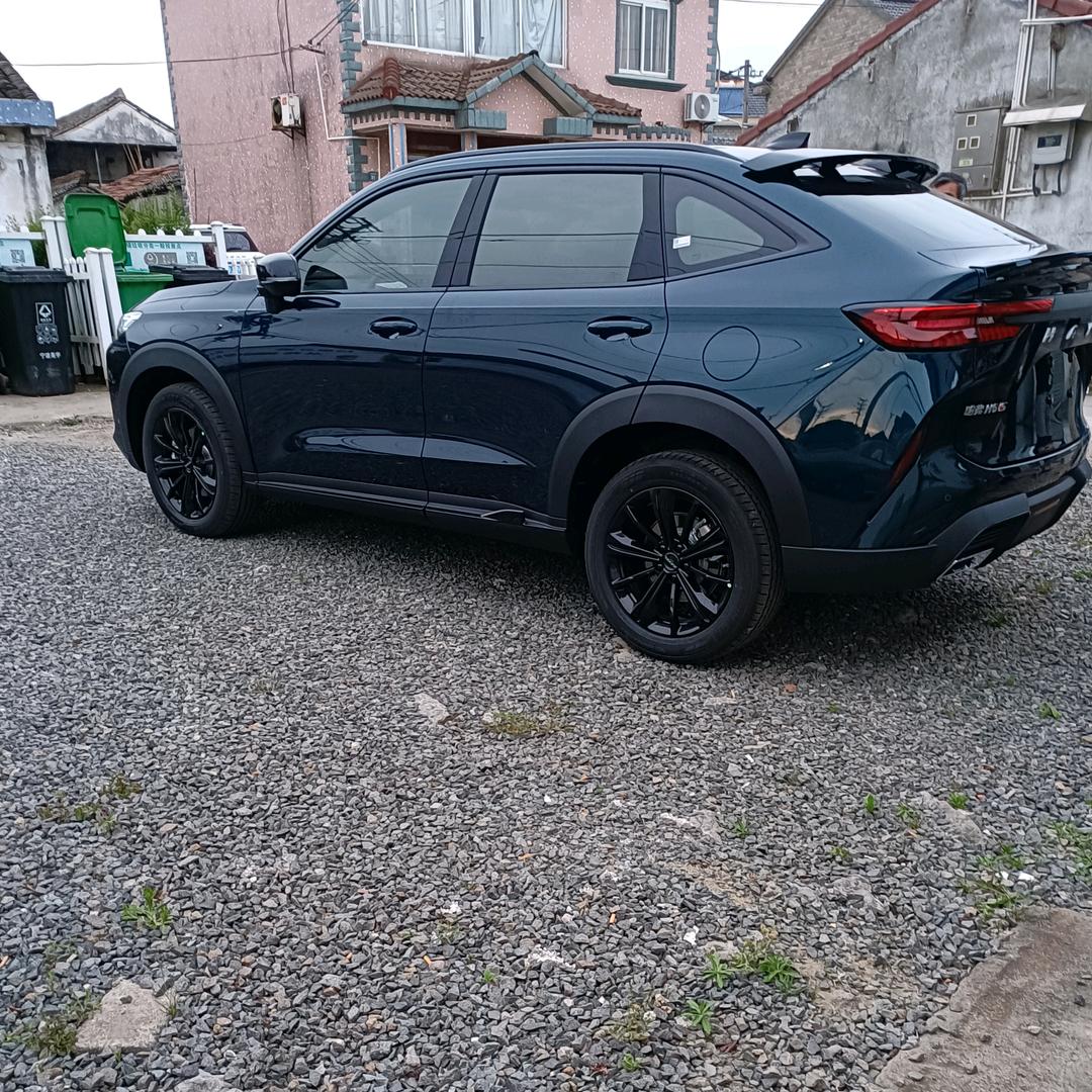 ✨ 《只做💫自己》✨