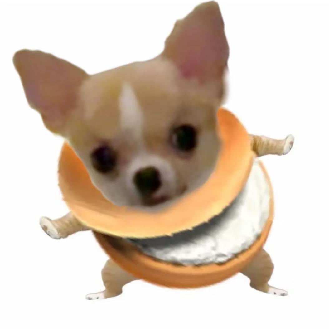 洗袜袜 ' ֊'