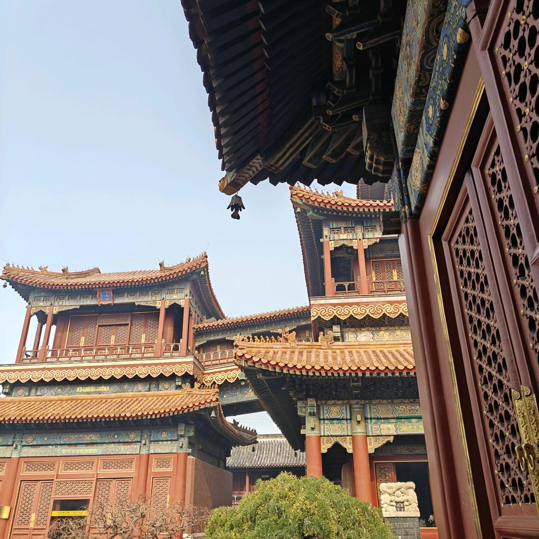 鲸落