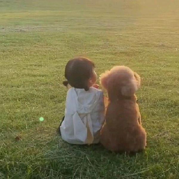 星星还是那个✨