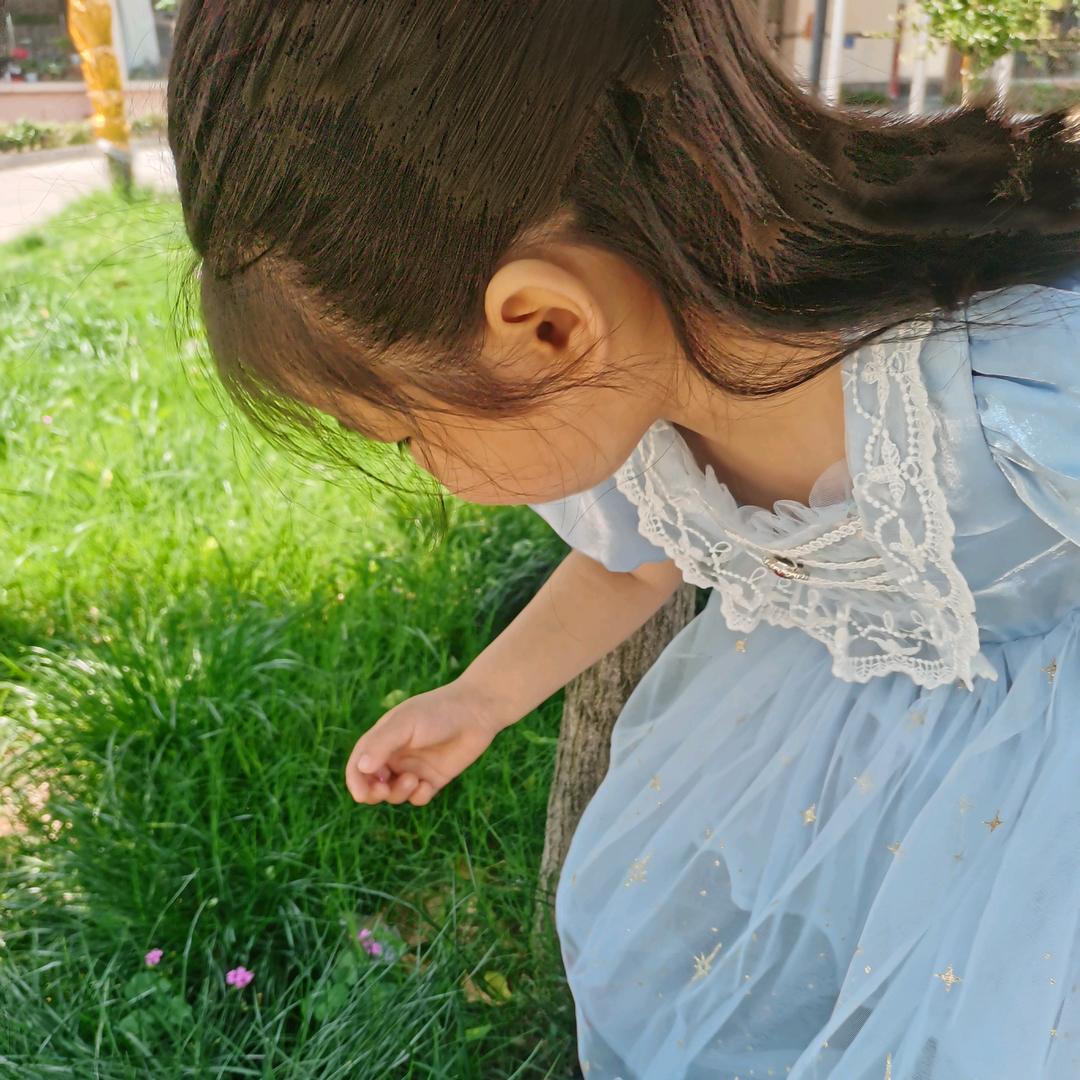 人生若只如初见