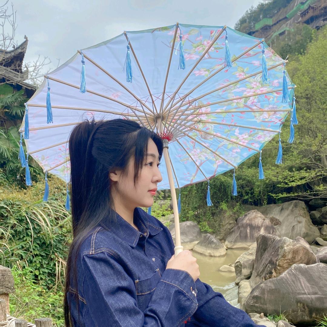 斑马已睡