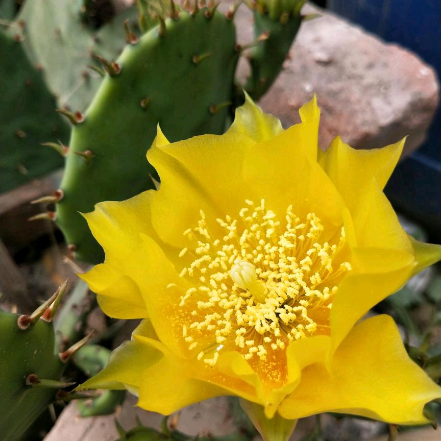 真爱永怛(拒私聊)