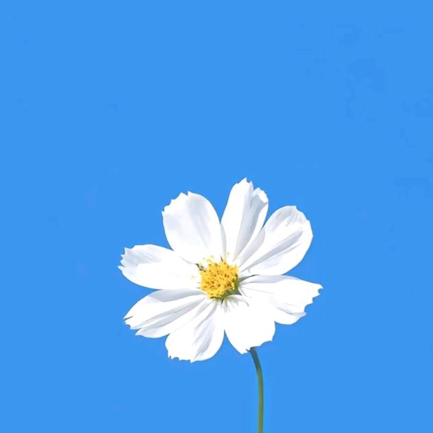 俗