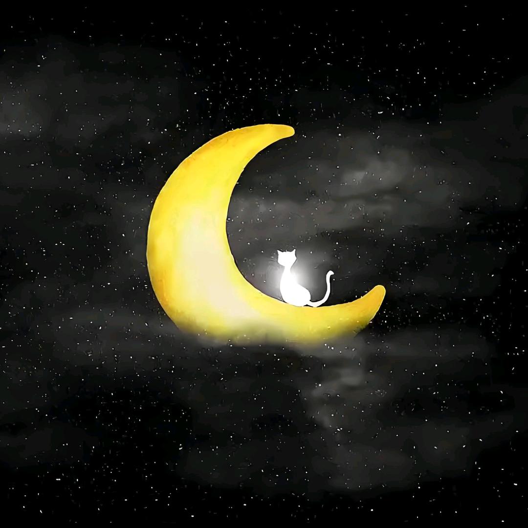 月亮上的猫-