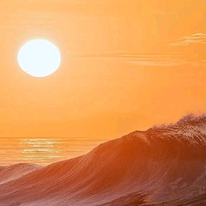 工农区方舟奥斯卡酒吧