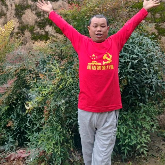 三秦《党高娃》