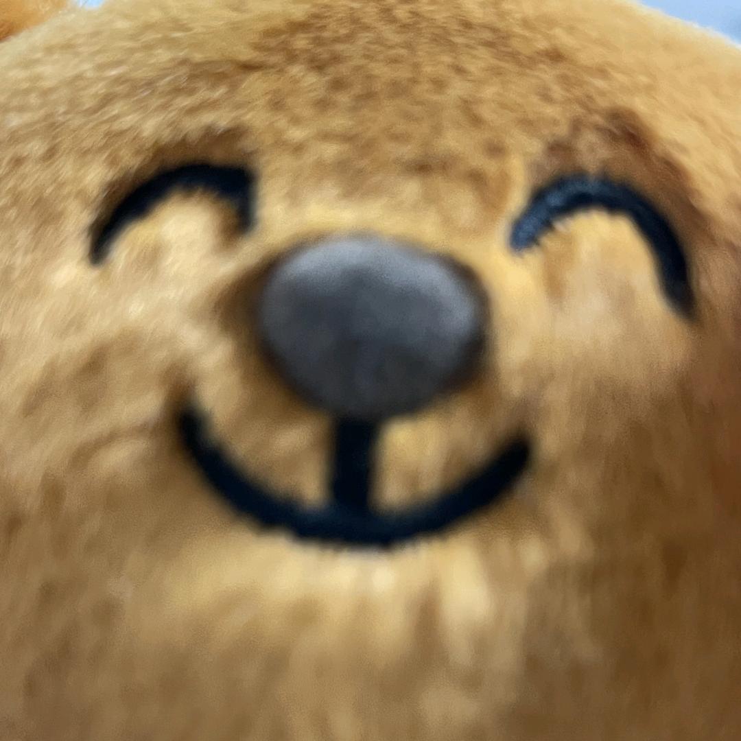 伤心的苦瓜大王