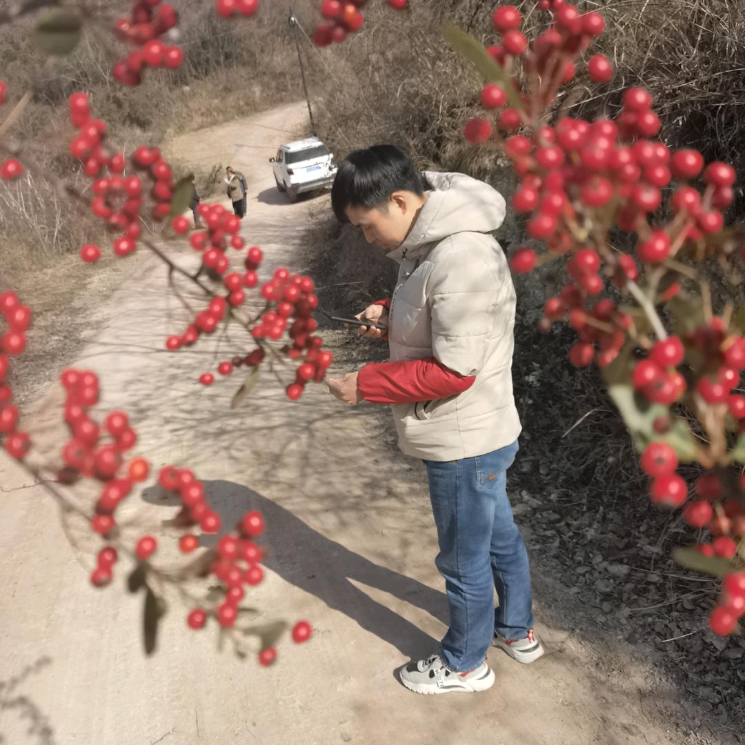 清一娃哈哈好