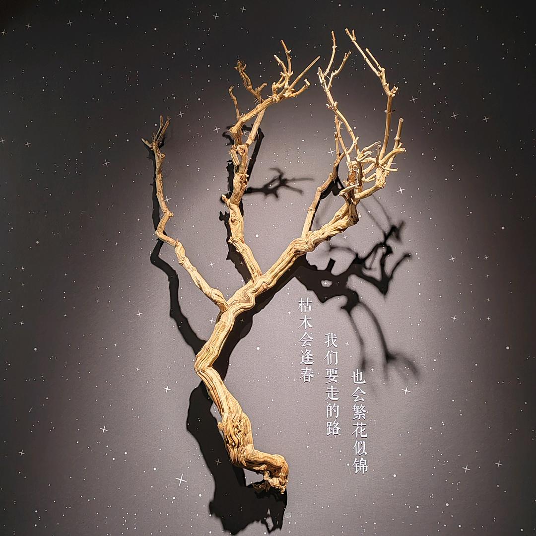 am海象皇宫荣祥冰淇淋专卖店