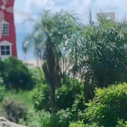 《小刘》🐉明天更美好。