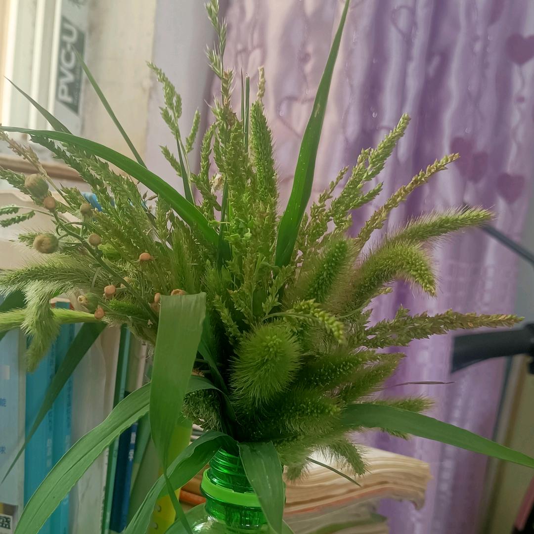 自然陪伴