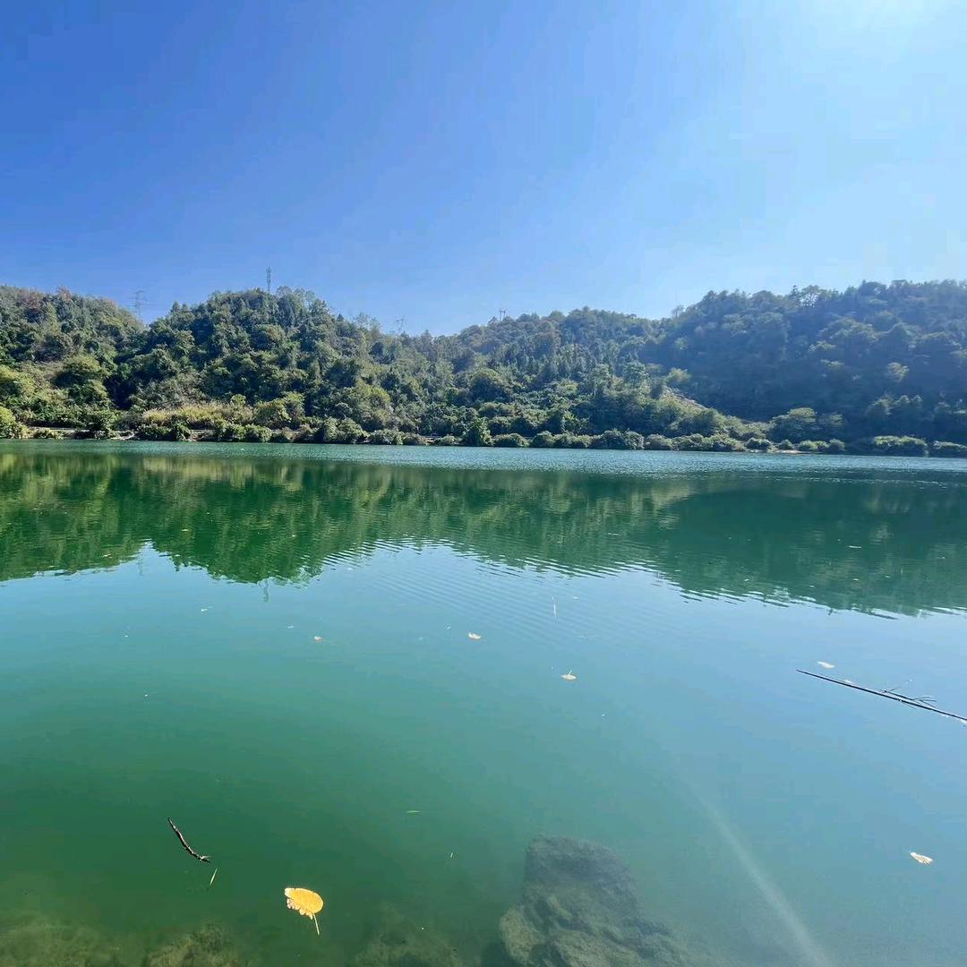 媛（小）