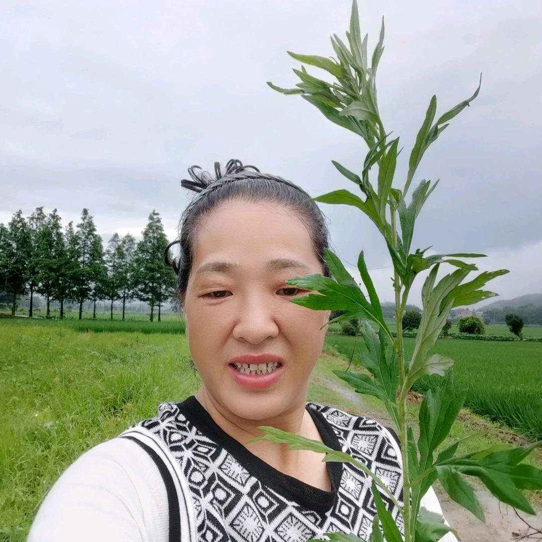 华夏鼓舞队～林妹妹