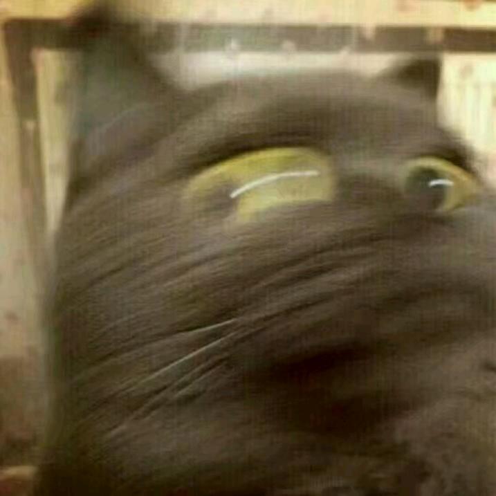 脚丫pang臭