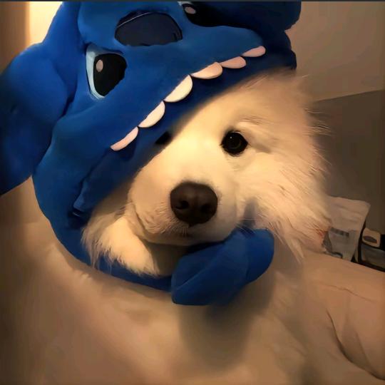 碧蓝航线