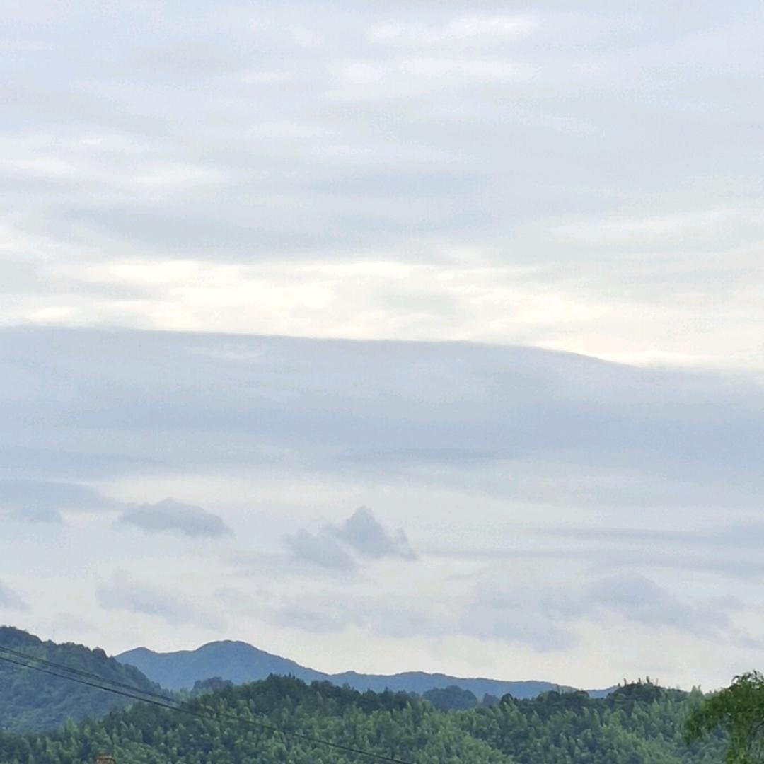 刚哥_2414579
