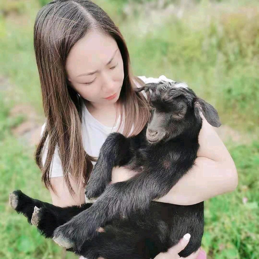 山西放羊妹