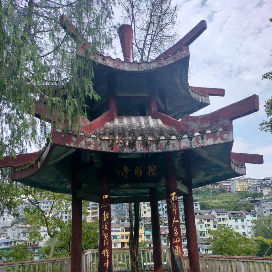 保持沉默笑笑，别人心中的傻子。