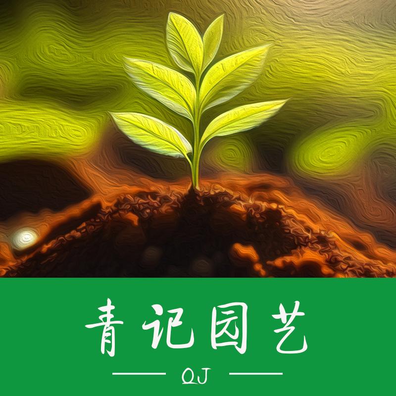 青记花卉园艺店